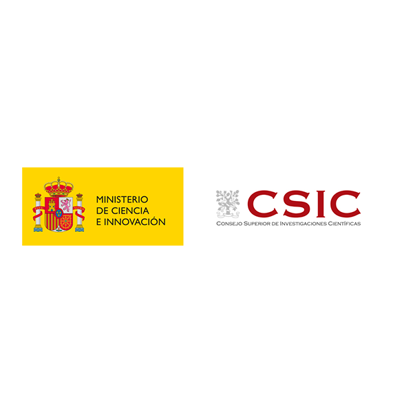 CSIC Logo