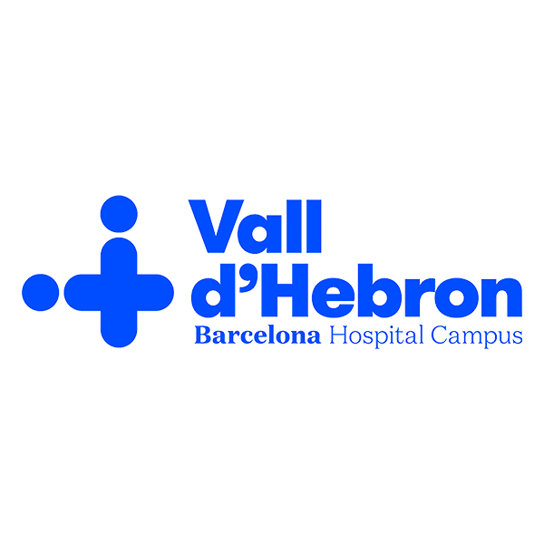 Vall Logo